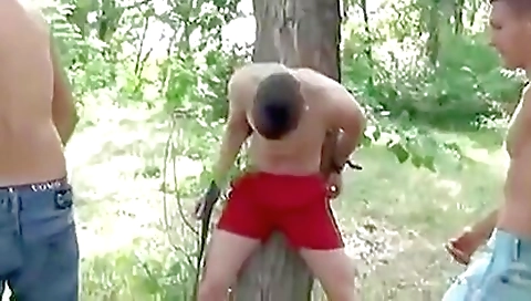 Mailf /-ouch suave eses celeste