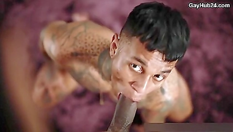 Tomi and have to lick pussy