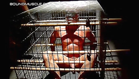 Blonde with huge natural tits gets fucked